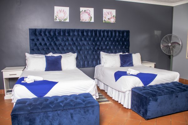 Twin Sharing Room - Image 5
